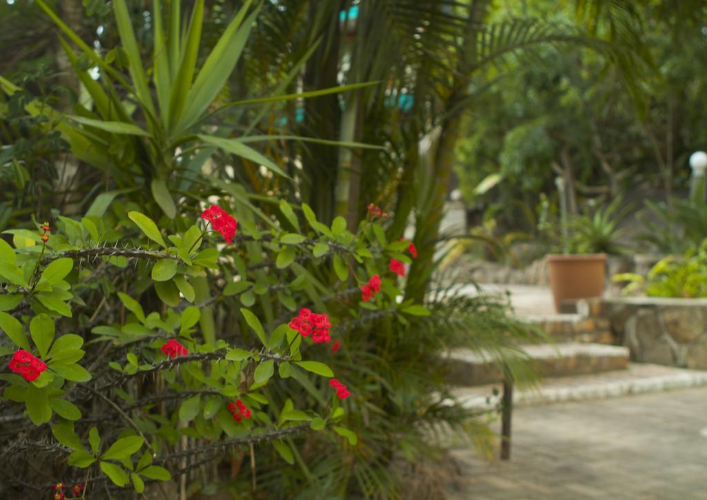 Sunset Manor Bed & Breakfast Mbombela Luaran gambar